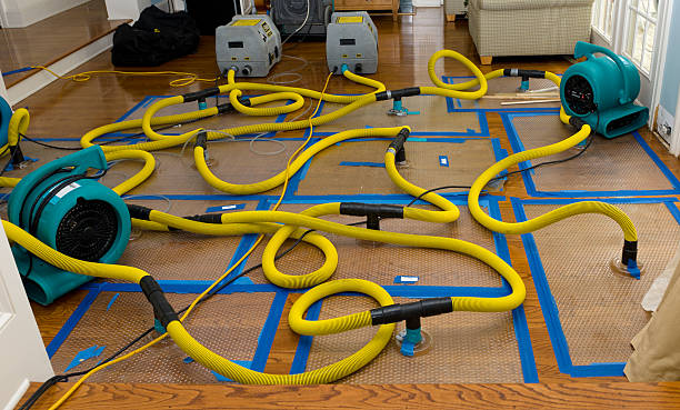 Professional Basement Flood Cleanup technician working in Mount Eden, KY